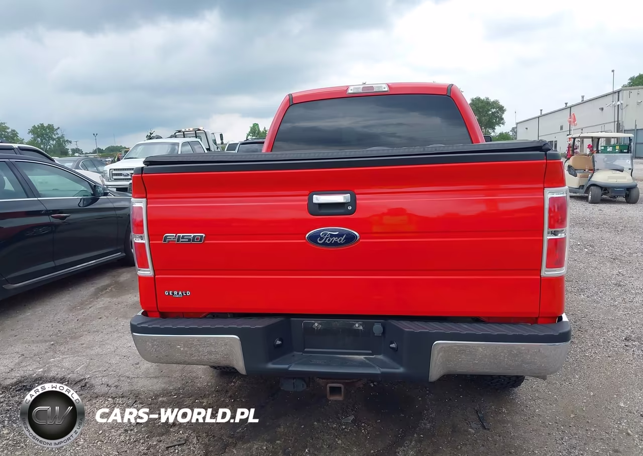 2013 Ford F-150 Xlt VIN:1FTFX1ET9DFC47793 - 16