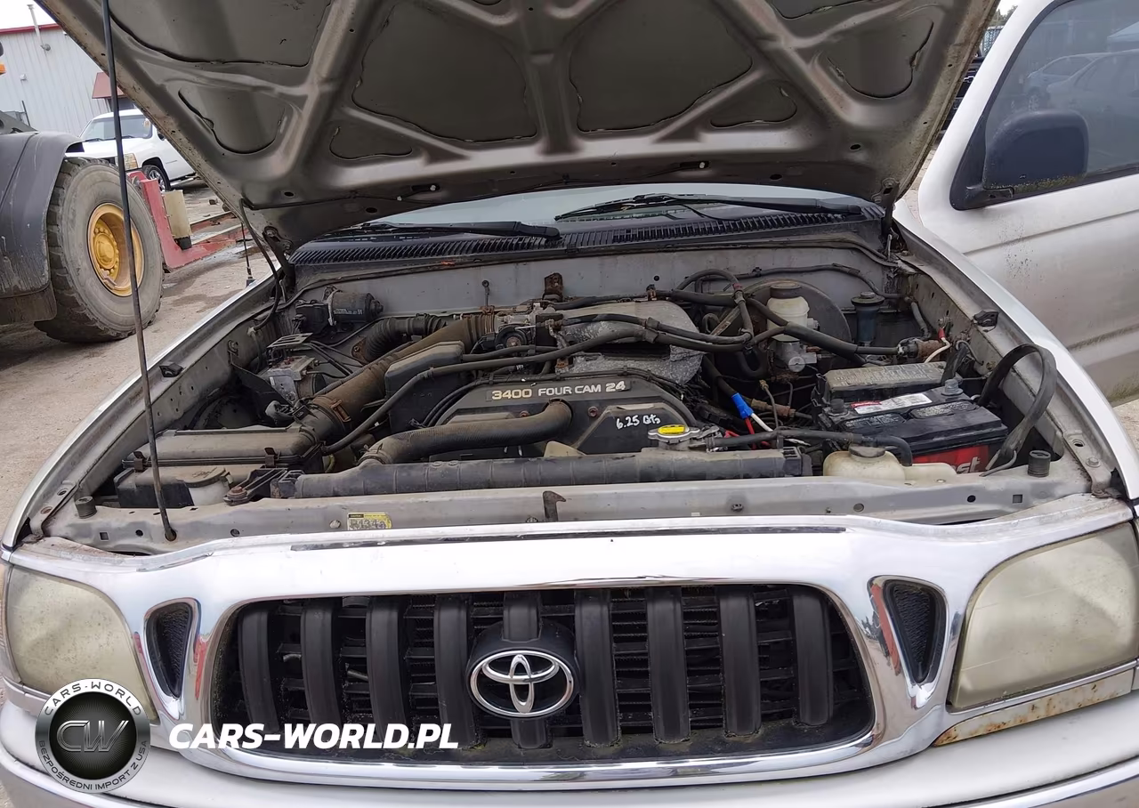 2003 Toyota Tacoma Base V6 VIN:5TEWN72N63Z195541 - 10