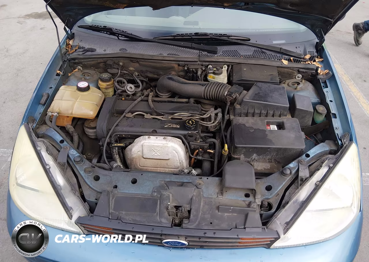 2000 Ford Focus Se VIN:1FAFP3439YW313123 - 10