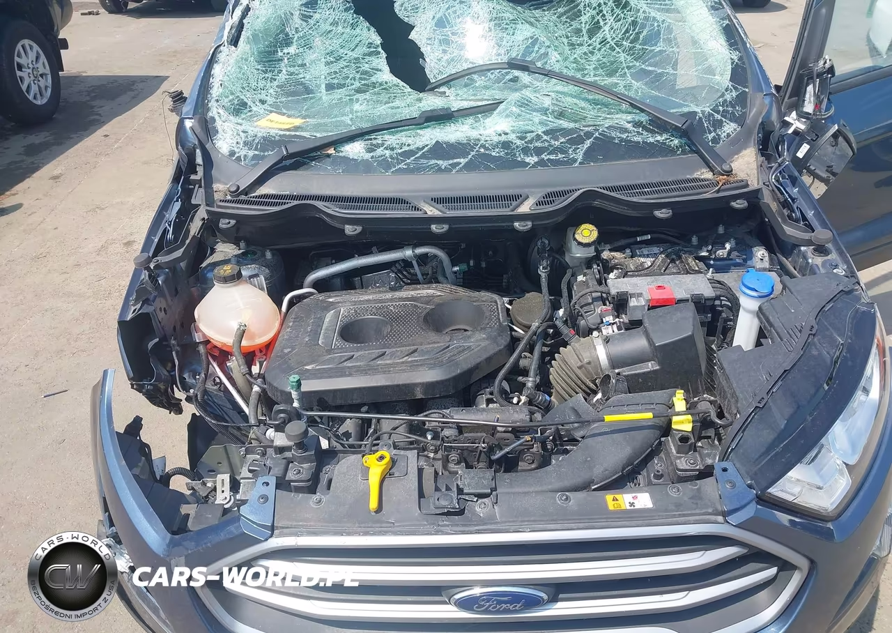 2021 Ford Ecosport Se VIN:MAJ6S3GL3MC437054 - 10