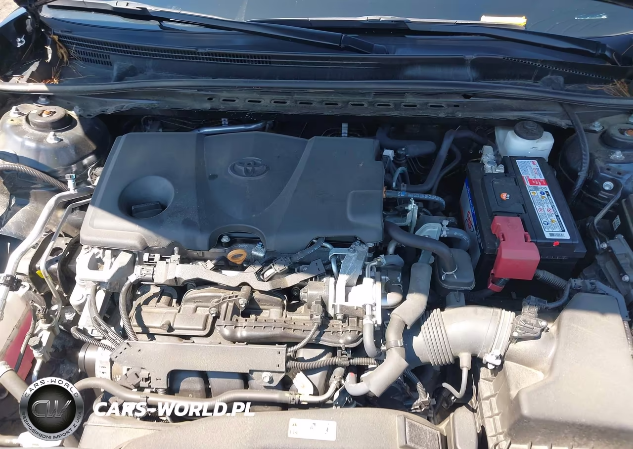 2020 Toyota Camry Le VIN:4T1C11AK6LU939923 - 10