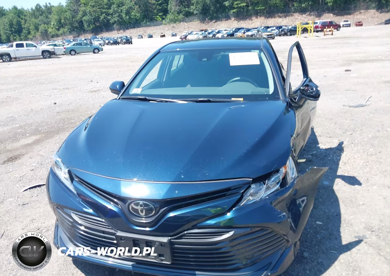 2020 Toyota Camry Le VIN:4T1C11AK6LU939923 - 12