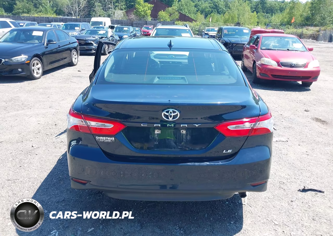 2020 Toyota Camry Le VIN:4T1C11AK6LU939923 - 16