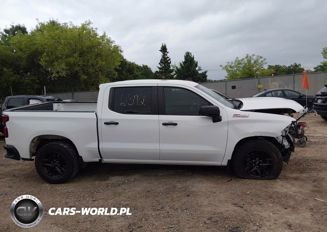 2019 Chevrolet Silverado 1500 Custom Trail Boss VIN:1GCPYCEF2KZ171093 - 14