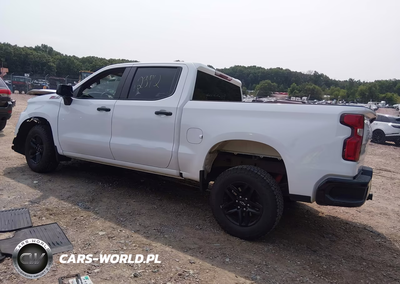 2019 Chevrolet Silverado 1500 Custom Trail Boss VIN:1GCPYCEF2KZ171093 - 3