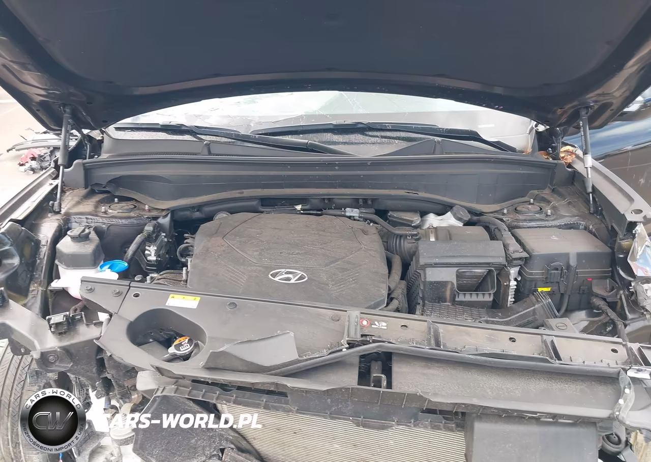 2024 Hyundai Palisade Xrt VIN:KM8R34GE9RU660479 - 10