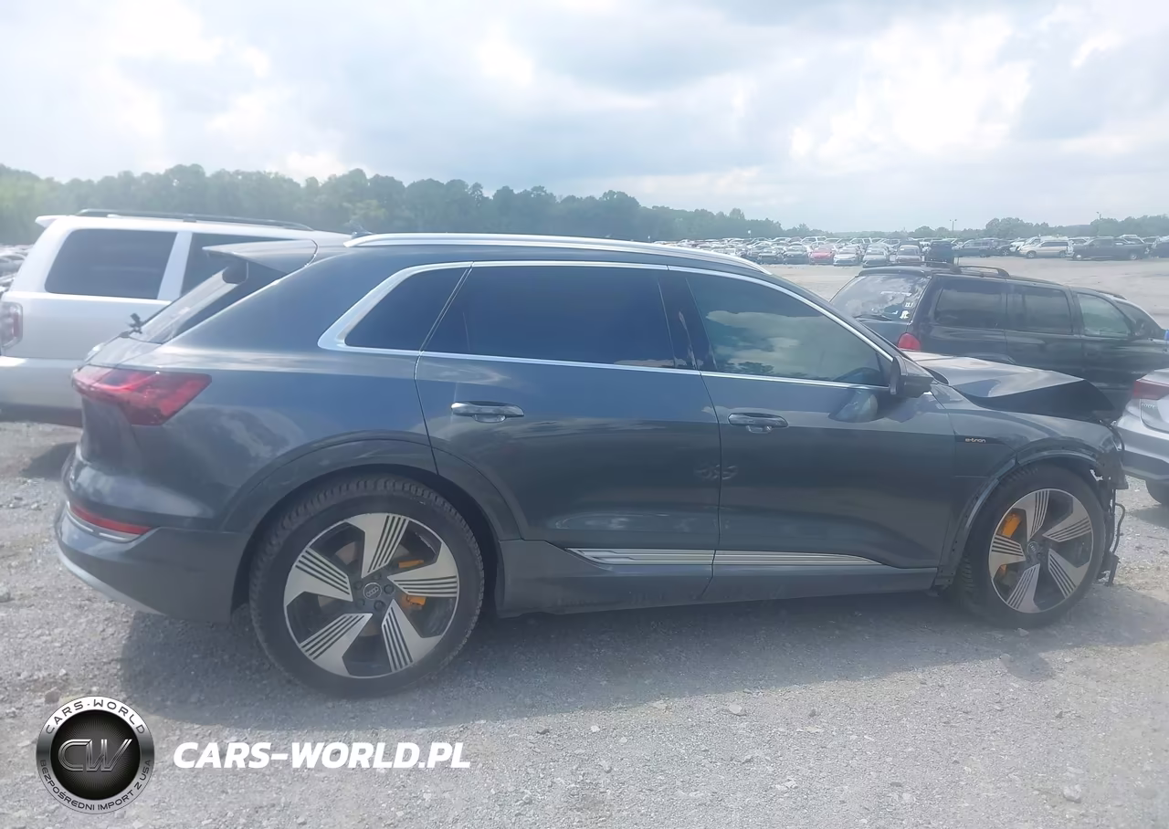 2019 Audi E-Tron Premium Plus VIN:WA1VAAGE9KB005824 - 13