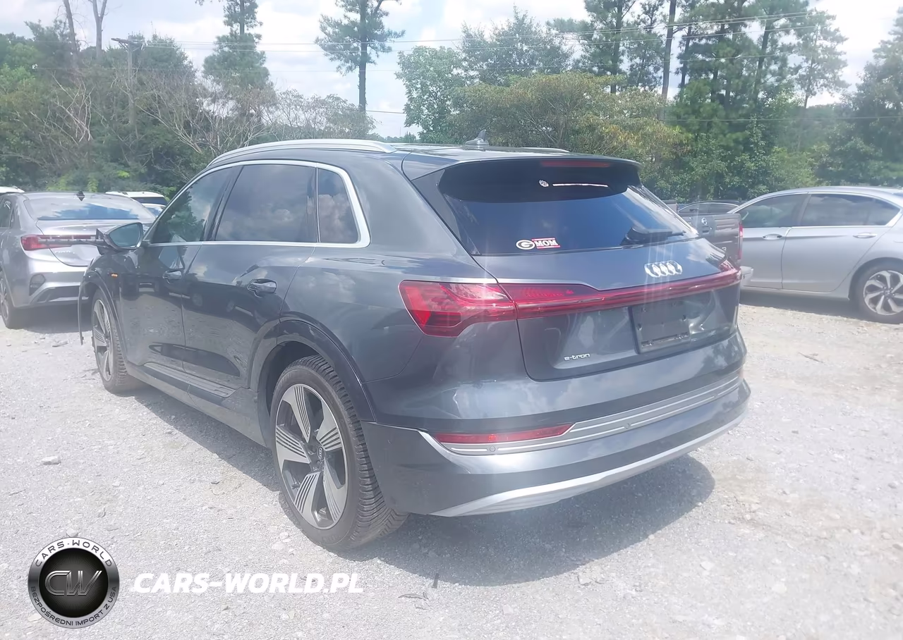 2019 Audi E-Tron Premium Plus VIN:WA1VAAGE9KB005824 - 3