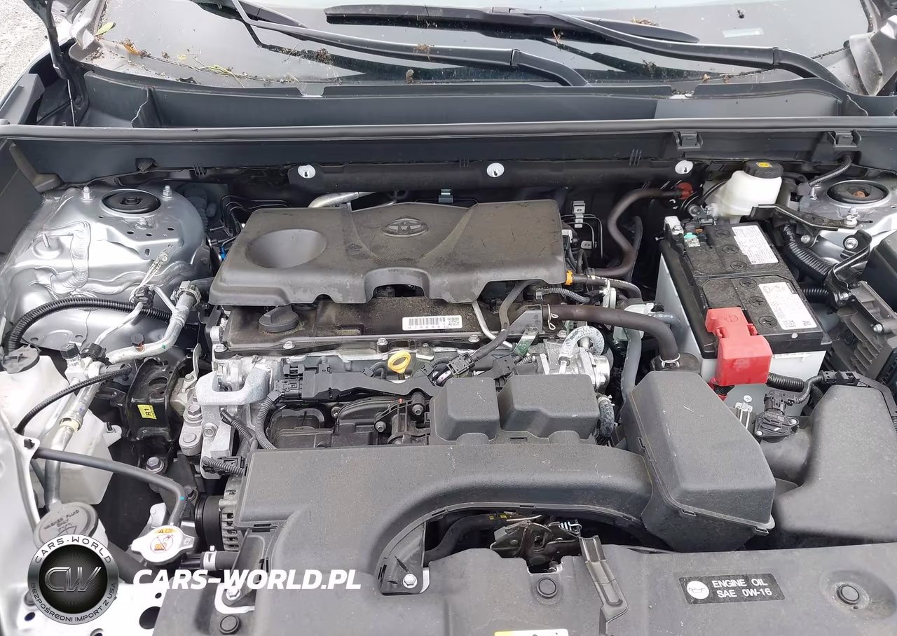 2025 Toyota Rav4 Xle VIN:2T3W1RFV4SC310182 - 10