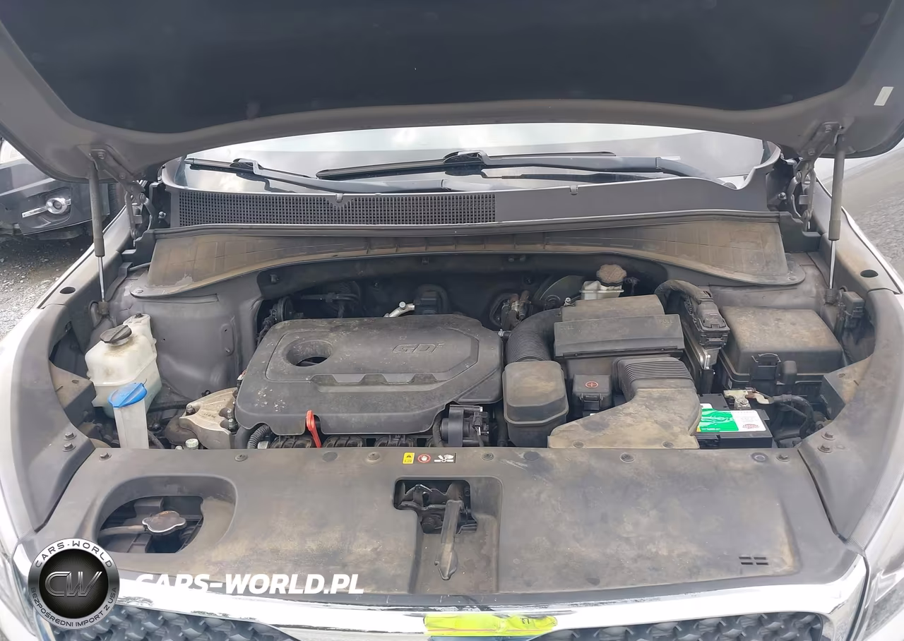 2016 Kia Sorento 2.4L Lx VIN:5XYPG4A35GG102618 - 10