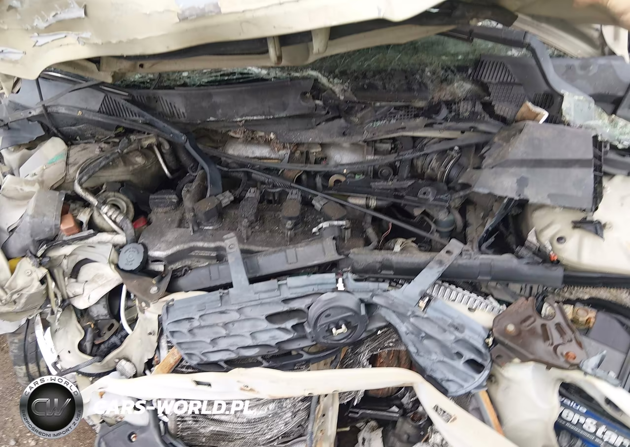 2003 Nissan Sentra Gxe VIN:3N1CB51D73L783334 - 10