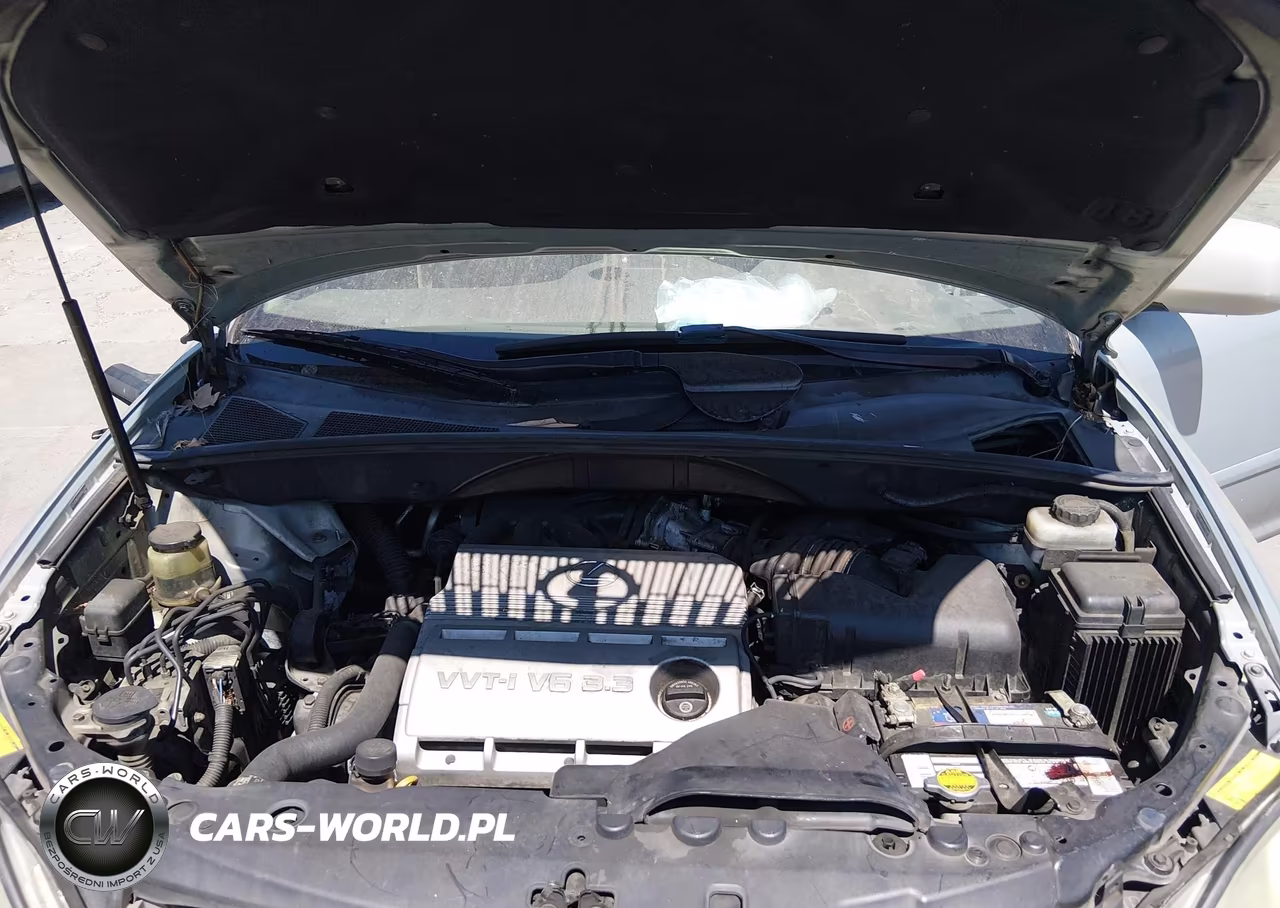 2004 Lexus Rx 330 VIN:JTJHA31U840026044 - 10