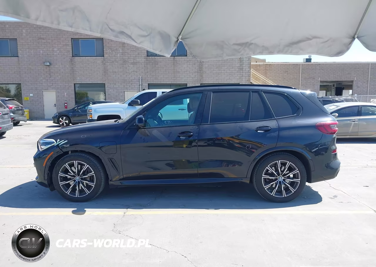 2021 BMW X5 Phev xDrive45E VIN:5UXTA6C05M9H19661 - 15