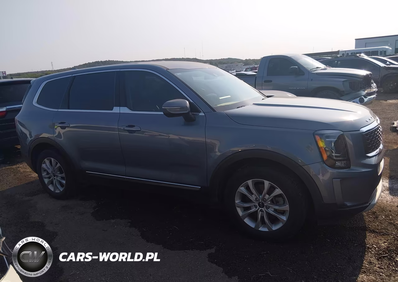 2020 Kia Telluride Lx VIN:5XYP24HC2LG047334 - 13