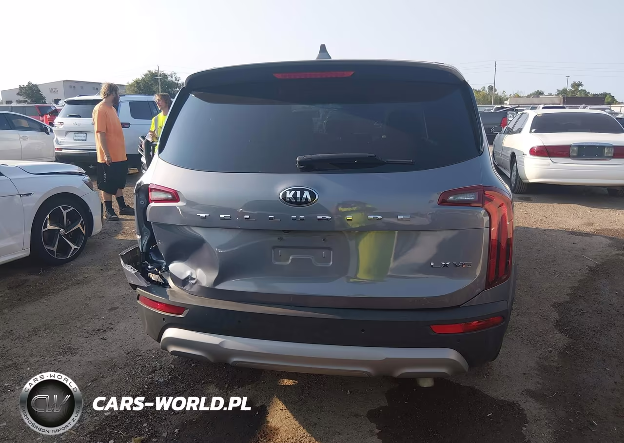 2020 Kia Telluride Lx VIN:5XYP24HC2LG047334 - 16