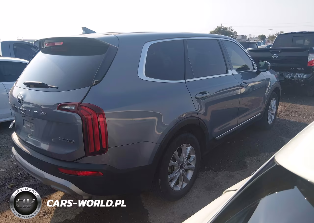 2020 Kia Telluride Lx VIN:5XYP24HC2LG047334 - 4