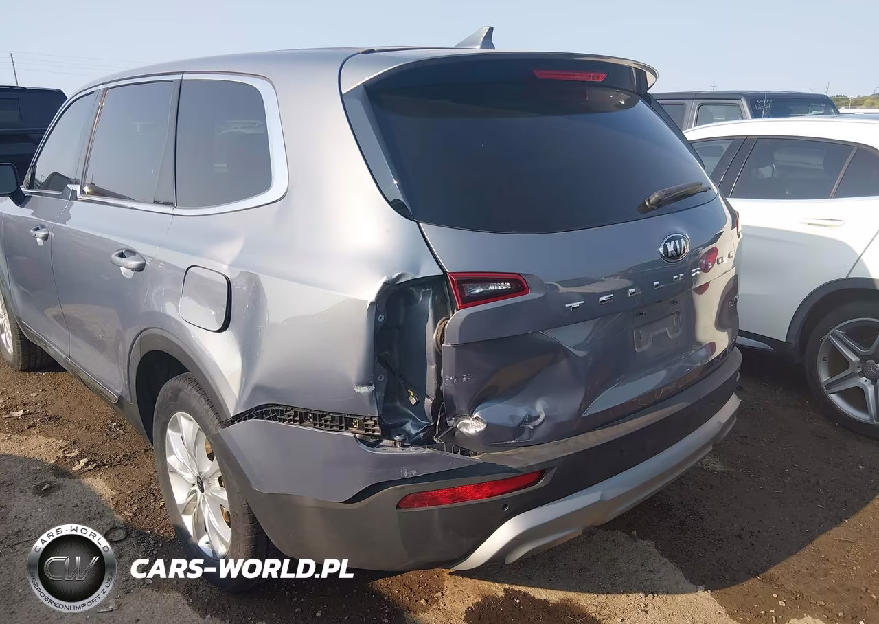 2020 Kia Telluride Lx VIN:5XYP24HC2LG047334 - 6