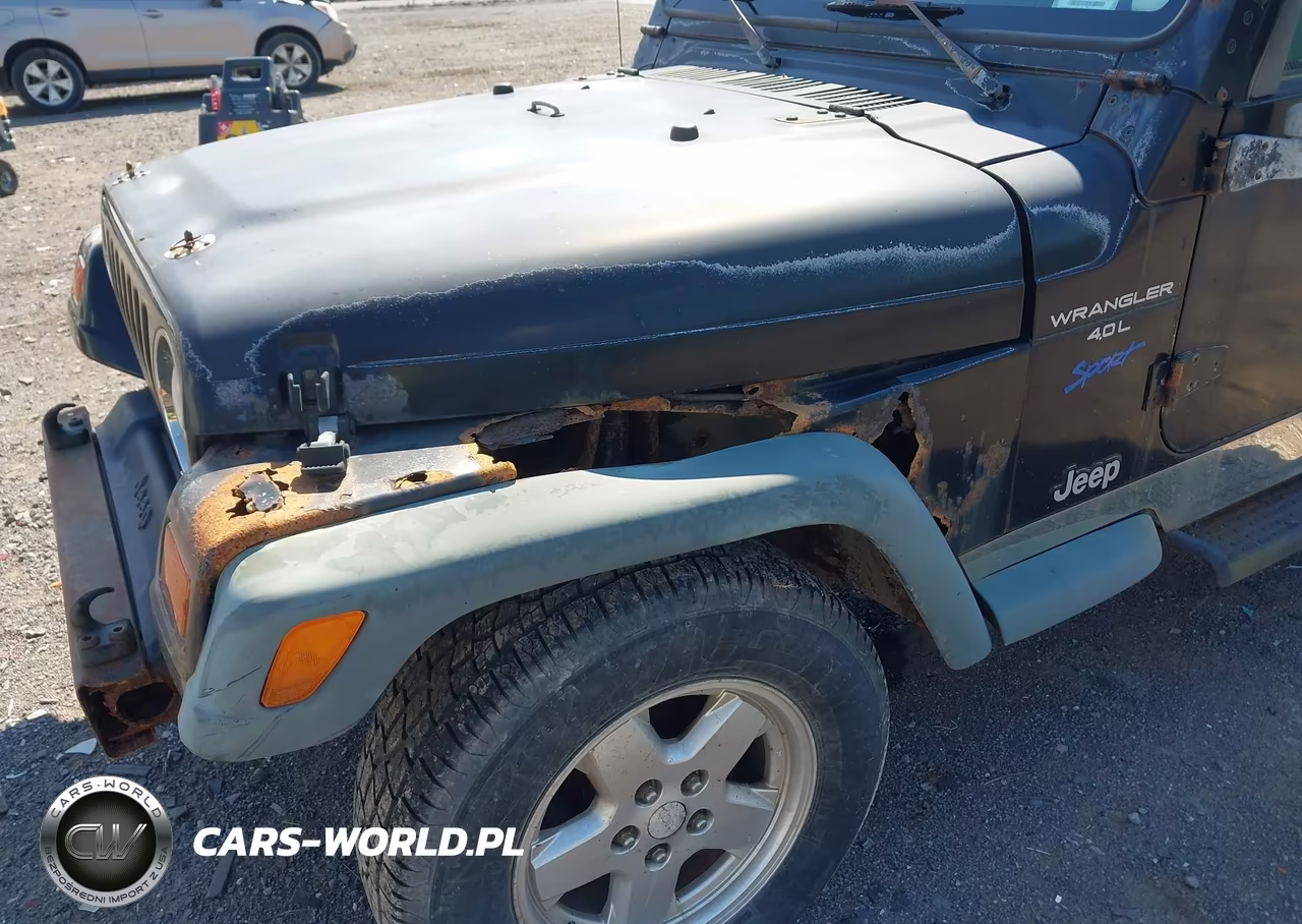 1997 Jeep Wrangler Sport VIN:1J4FY19S8VP485218 - 6