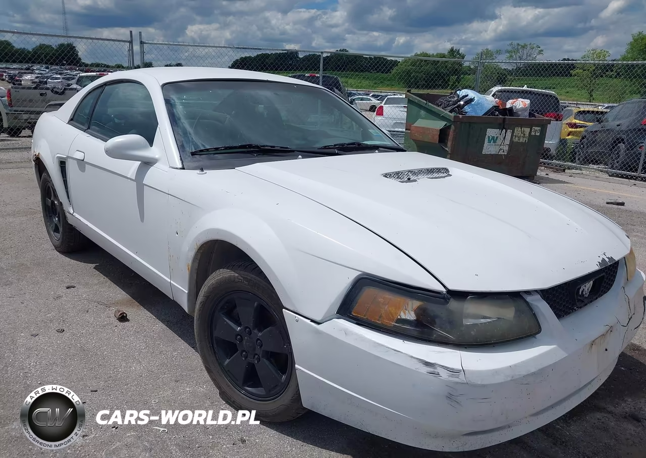 2002 Ford Mustang Deluxe-Premium VIN:1FAFP40402F211981 - 12