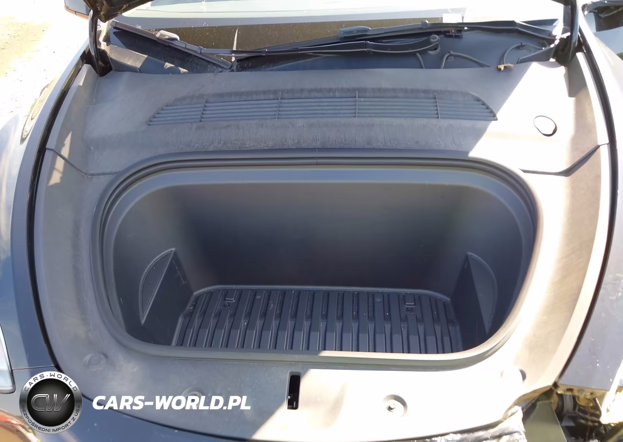 2024 Tesla Model Y Long Range Dual Motor All-Wheel Drive VIN:7SAYGAEE2RF029753 - 10