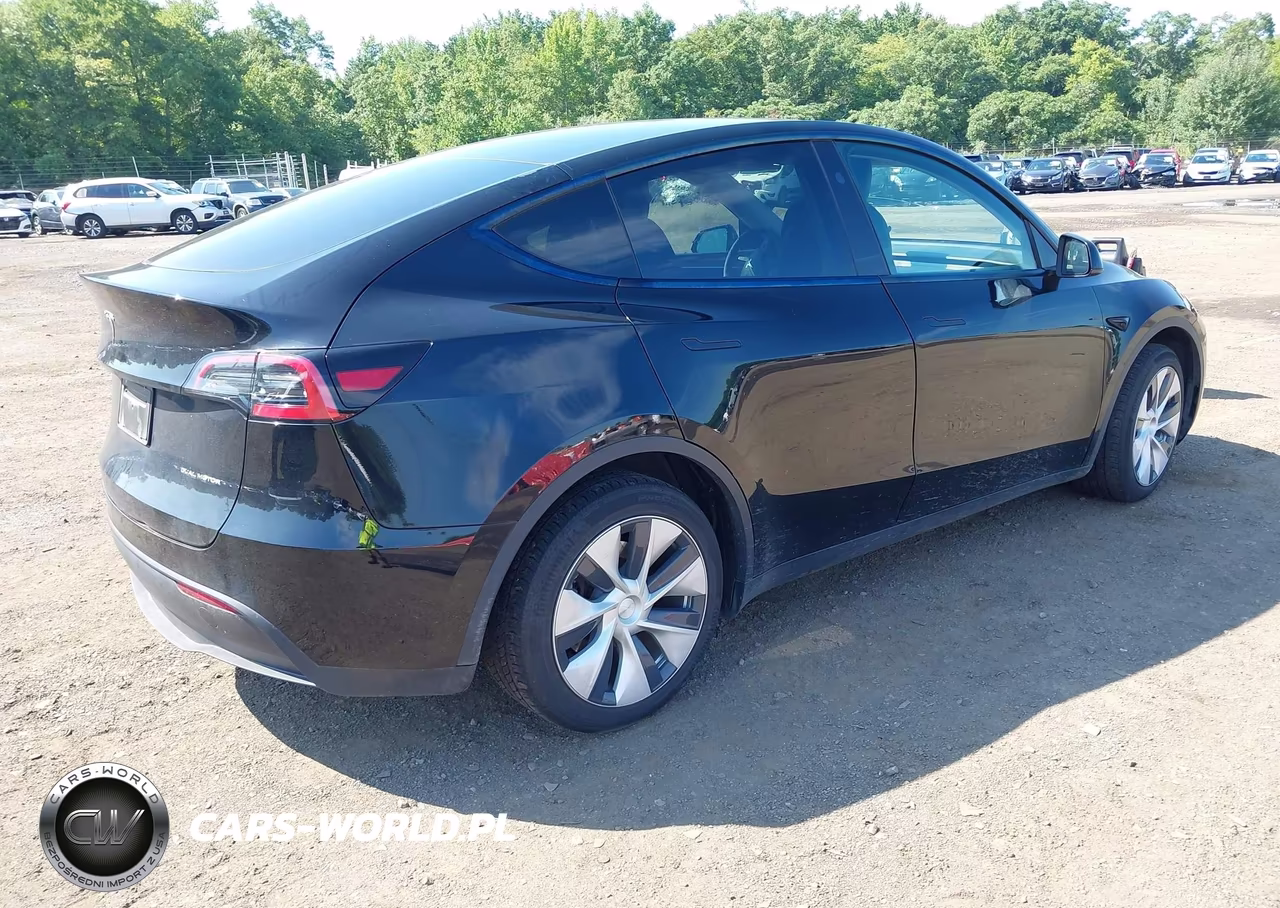 2024 Tesla Model Y Long Range Dual Motor All-Wheel Drive VIN:7SAYGAEE2RF029753 - 4