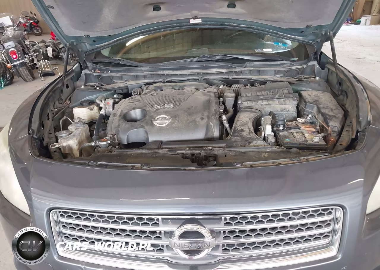 2009 Nissan Maxima 3.5 Sv VIN:1N4AA51E49C846223 - 10