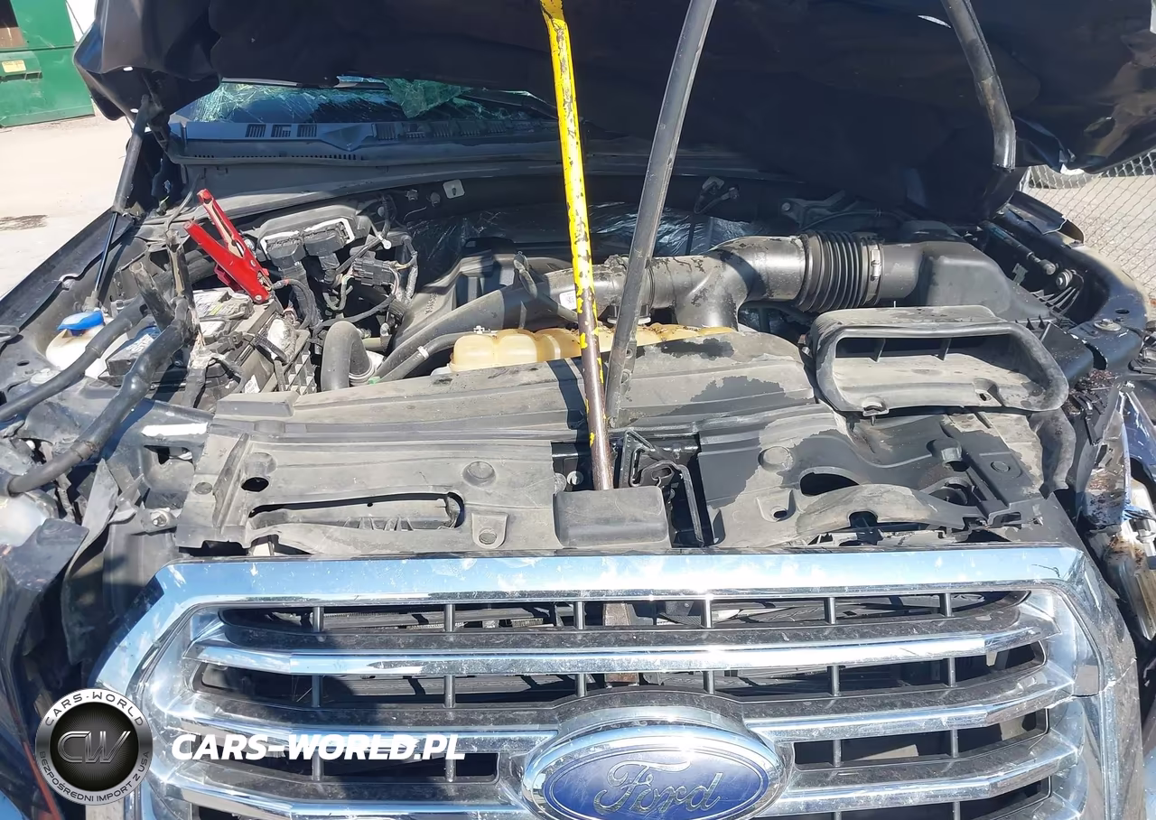 2017 Ford F-150 Xlt VIN:1FTEW1EP4HKC43021 - 10