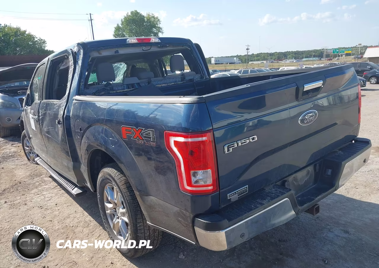 2017 Ford F-150 Xlt VIN:1FTEW1EP4HKC43021 - 3