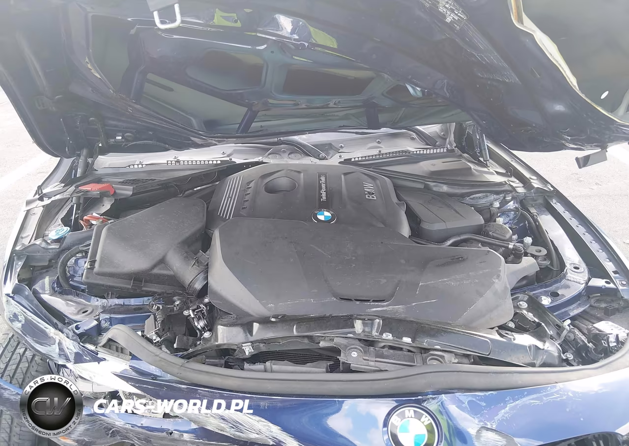 2018 BMW 330I VIN:WBA8B9G52JNU97315 - 10