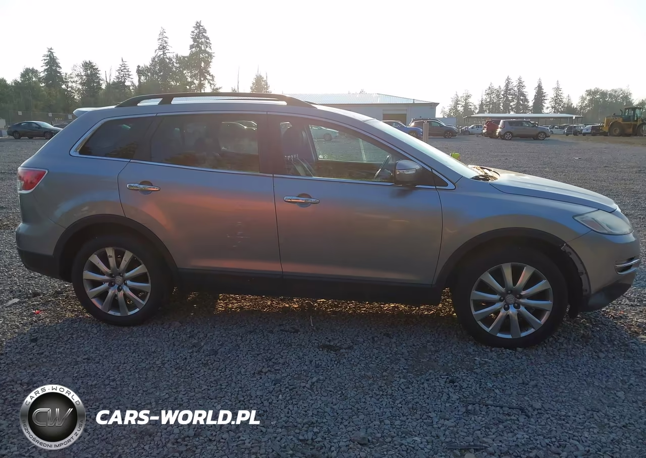 2009 Mazda Cx-9 Grand Touring VIN:JM3TB38V290181082 - 6