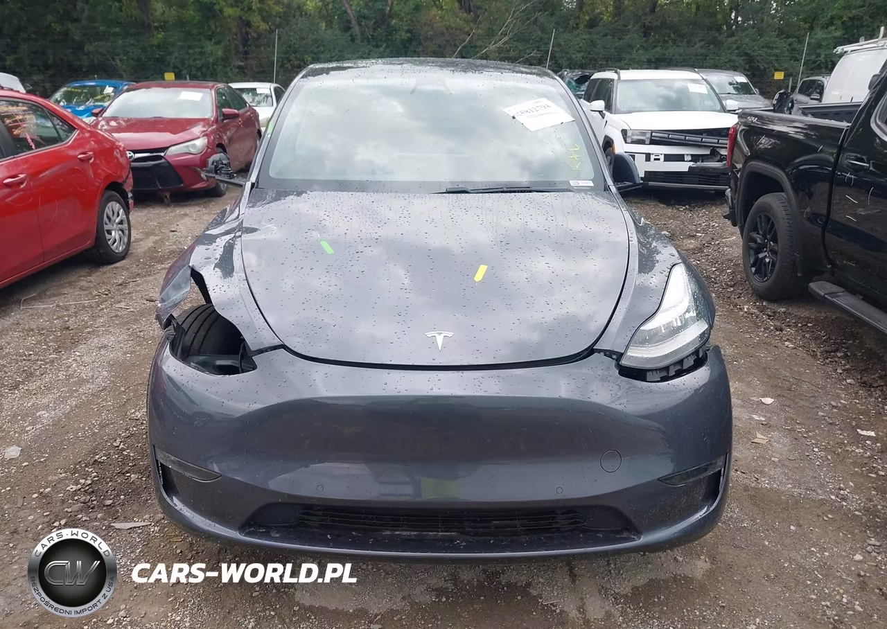 2020 Tesla Model Y Long Range Dual Motor All-Wheel Drive VIN:5YJYGDEE9LF011854 - 12