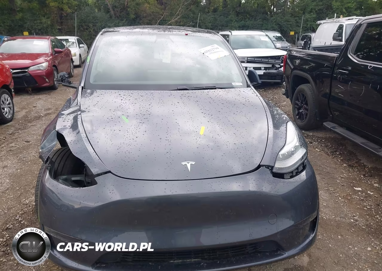 2020 Tesla Model Y Long Range Dual Motor All-Wheel Drive VIN:5YJYGDEE9LF011854 - 19