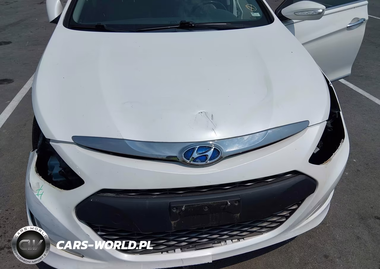 2012 Hyundai Sonata Hybrid VIN:KMHEC4A49CA041145 - 6