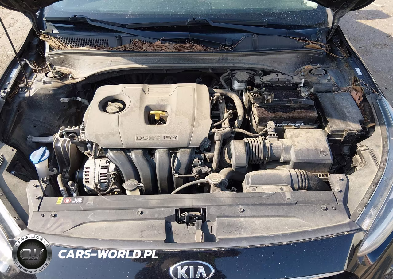 2019 Kia Forte S VIN:3KPF34AD4KE113681 - 10