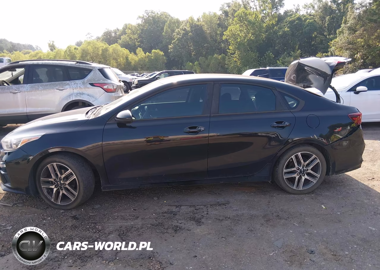 2019 Kia Forte S VIN:3KPF34AD4KE113681 - 15