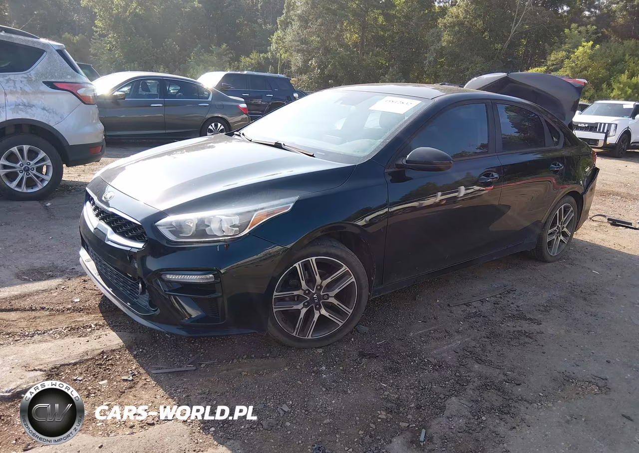 2019 Kia Forte S VIN:3KPF34AD4KE113681 - 2