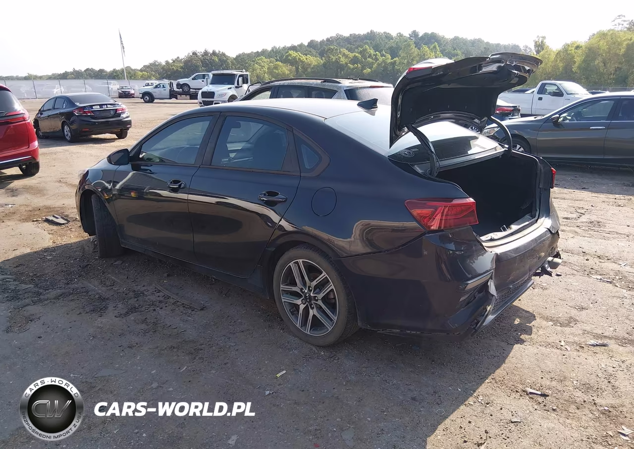 2019 Kia Forte S VIN:3KPF34AD4KE113681 - 3
