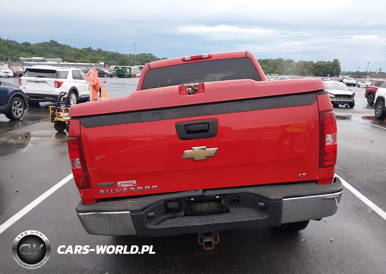 2010 Chevrolet Silverado 1500 Lt VIN:3GCRKSE38AG266072 - 17