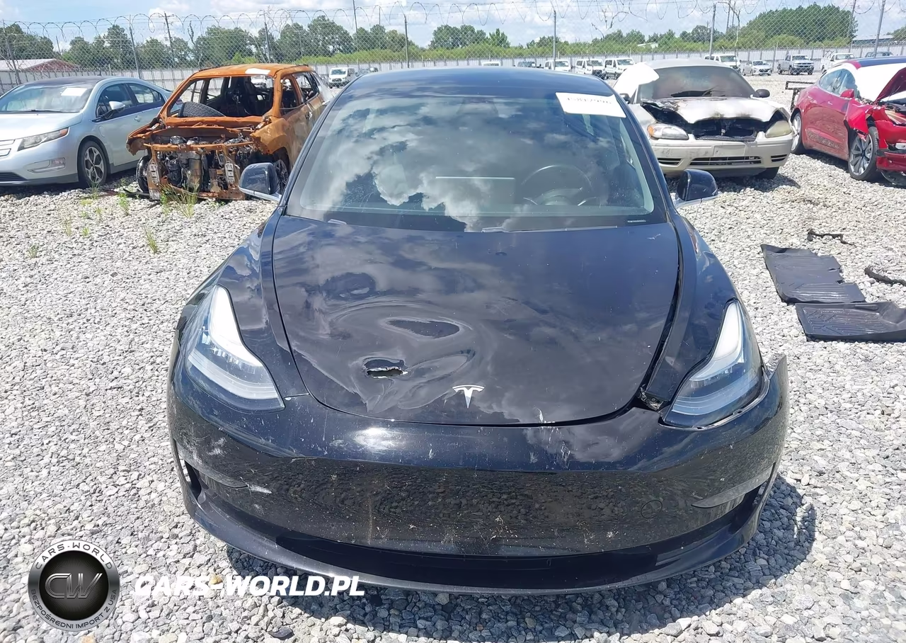 2019 Tesla Model 3 VIN:5YJ3E1EA6KF316755 - 11