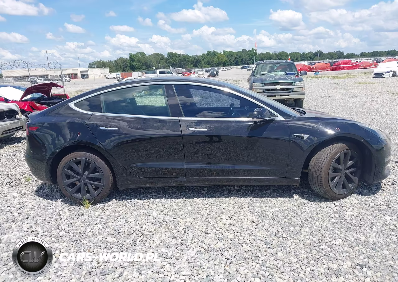 2019 Tesla Model 3 VIN:5YJ3E1EA6KF316755 - 12