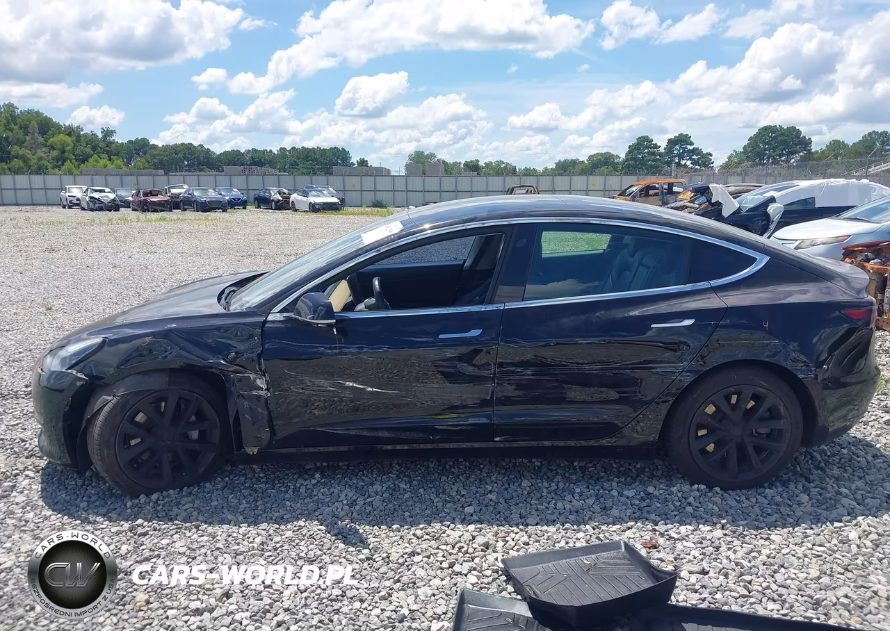 2019 Tesla Model 3 VIN:5YJ3E1EA6KF316755 - 13
