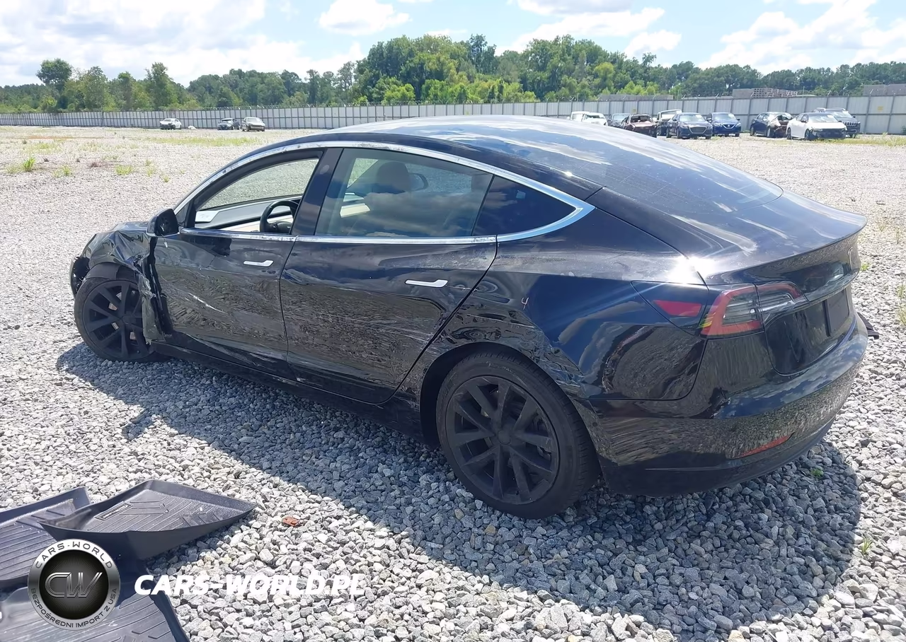 2019 Tesla Model 3 VIN:5YJ3E1EA6KF316755 - 3