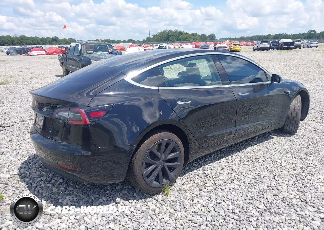 2019 Tesla Model 3 VIN:5YJ3E1EA6KF316755 - 4