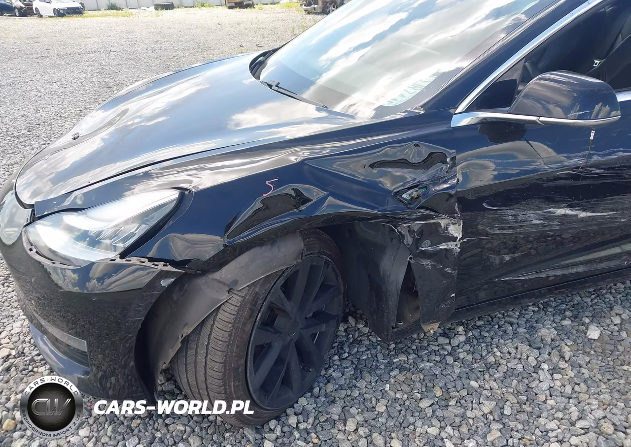 2019 Tesla Model 3 VIN:5YJ3E1EA6KF316755 - 6