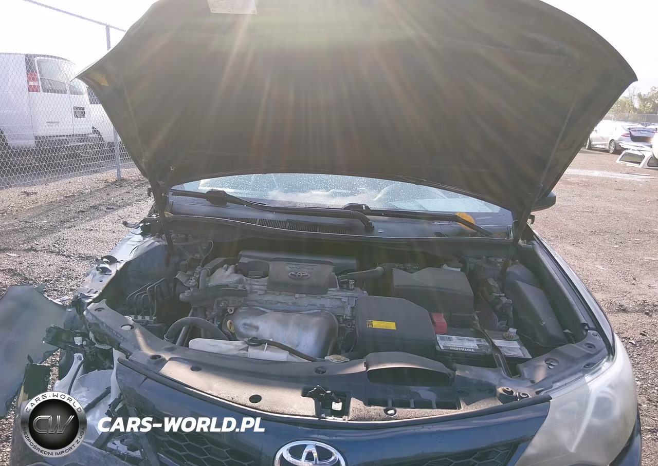 2014 Toyota Camry Se VIN:4T1BF1FK3EU320513 - 10