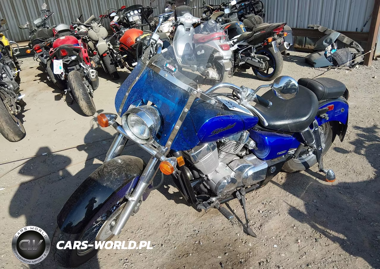2005 Honda Vt750 Ca VIN:JH2RC50315M103098 - 2