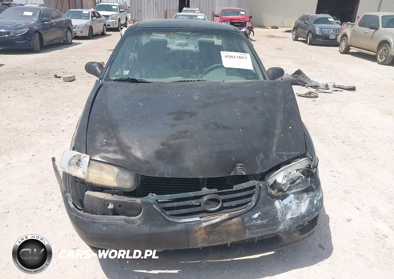 2002 Toyota Corolla Ce VIN:1NXBR12E42Z597593 - 12