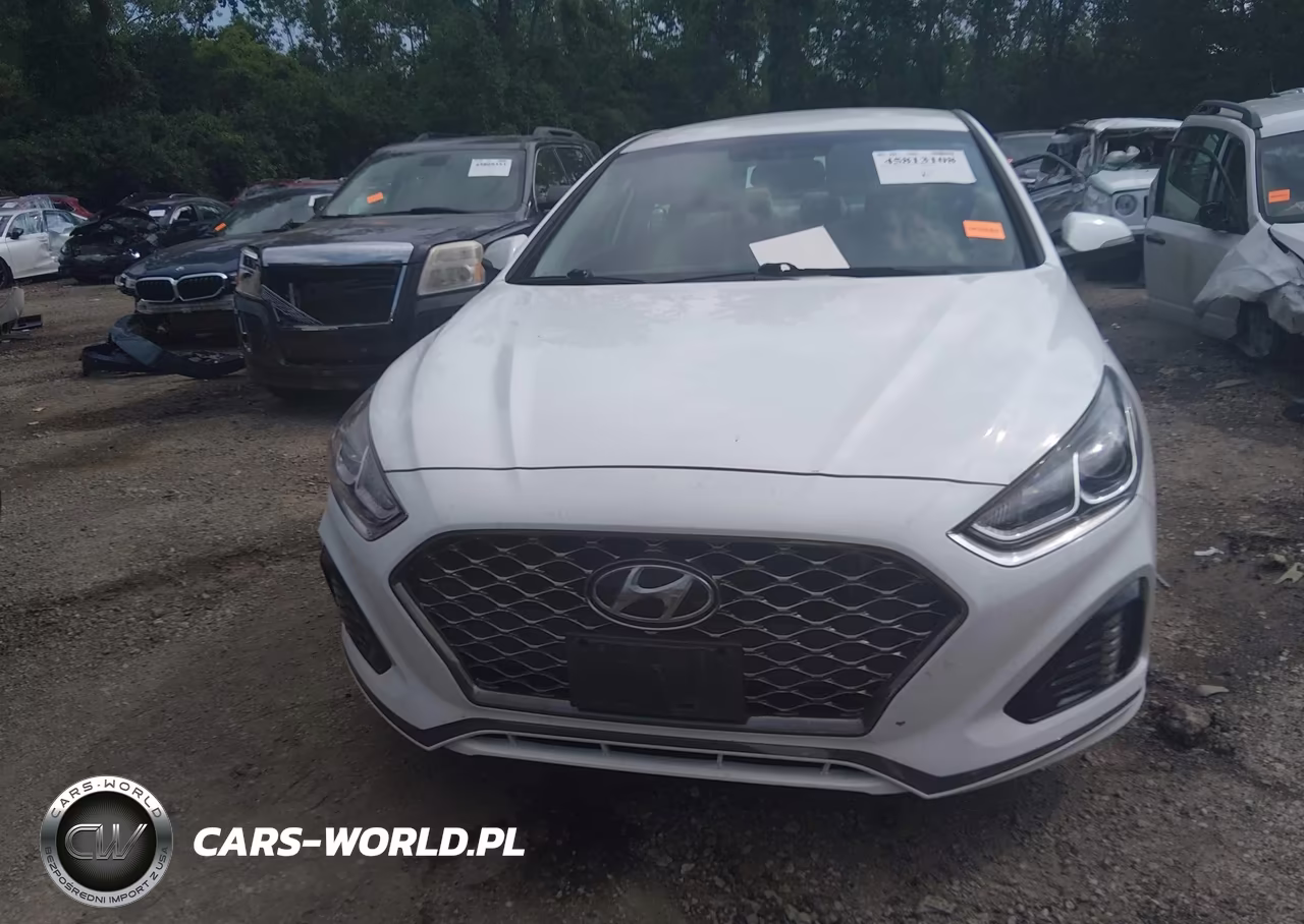 2019 Hyundai Sonata Sel VIN:5NPE34AF9KH778715 - 13