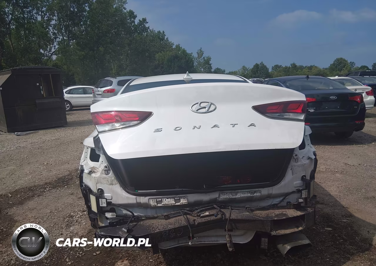 2019 Hyundai Sonata Sel VIN:5NPE34AF9KH778715 - 17