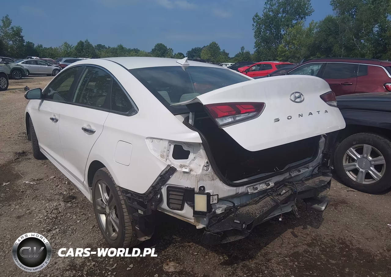 2019 Hyundai Sonata Sel VIN:5NPE34AF9KH778715 - 3